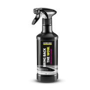 RM 650 Karcher Засіб для очищення автомобільного скла, 500 мл