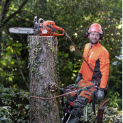 HUSQVARNA 545 Mark II