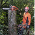 HUSQVARNA 545 Mark II HUSQVARNA 545 Mark II