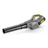 Повітродувка Karcher LB 850 Bp Повітродувка Karcher LB 850 Bp