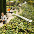 Акумуляторні мотоножиці STIHL HLA 85 (системи PRO) Акумуляторні мотоножиці STIHL HLA 85 (системи PRO)